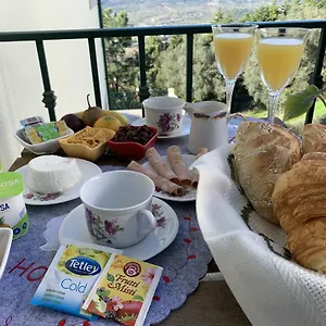 Couette-café Deluxe Com Terraço E Varanda Privada - 'casinha Da Amoreira'